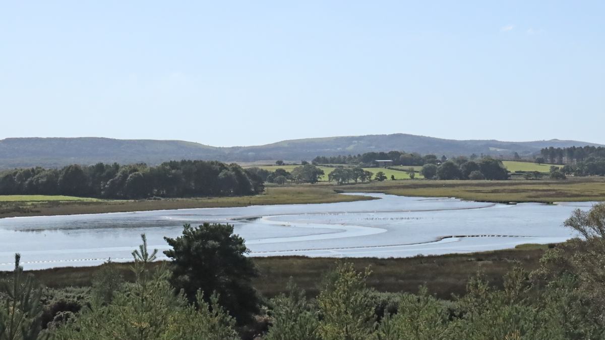RSPB Arne