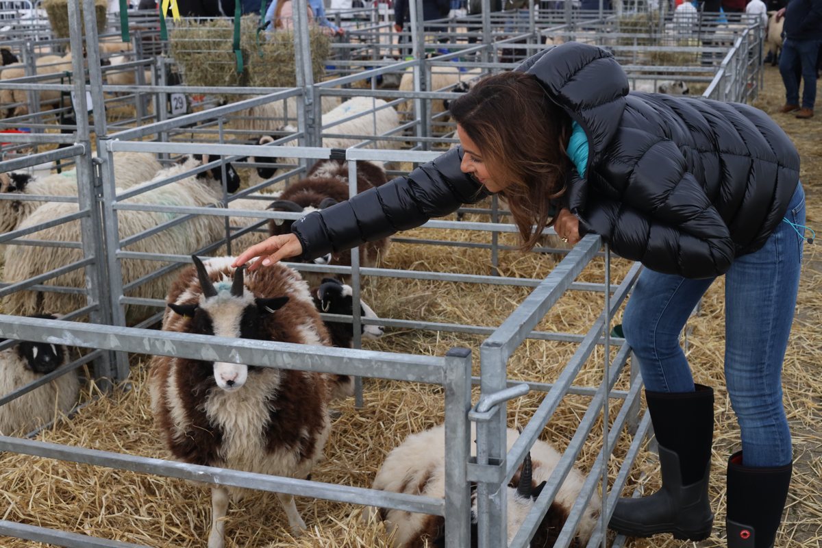 weekend-Countryside-Live-PIC-2 Countryside Life