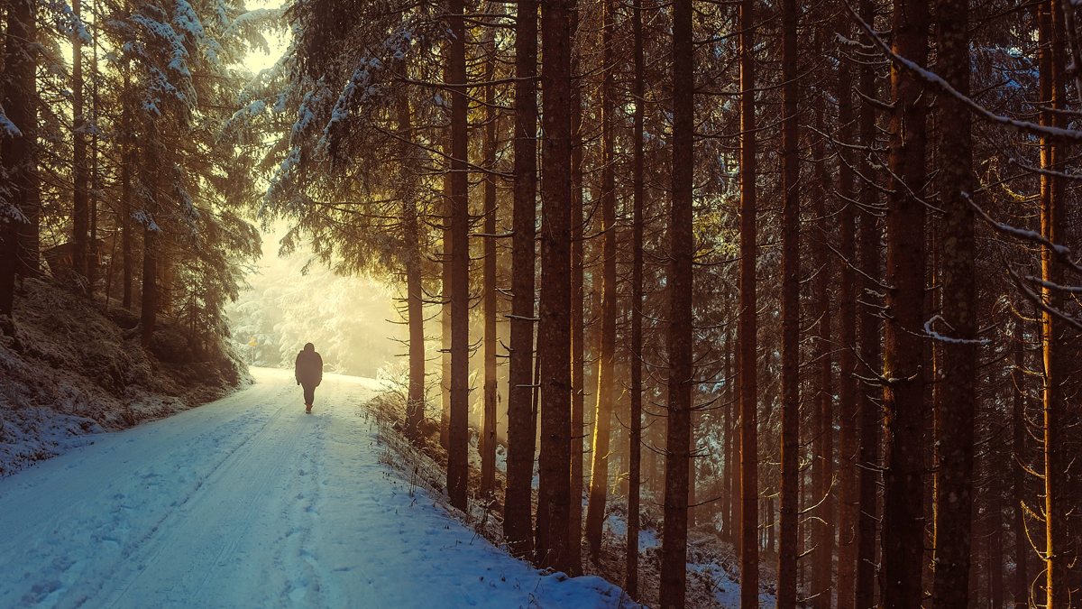 Wrap up, winter is here!