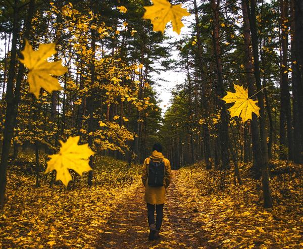 The walker, the walk and the waterproof