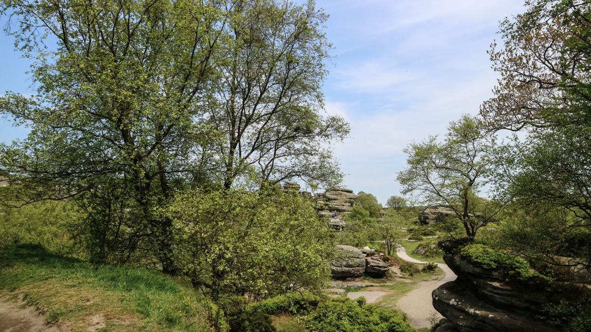 Brimham Rocks walk