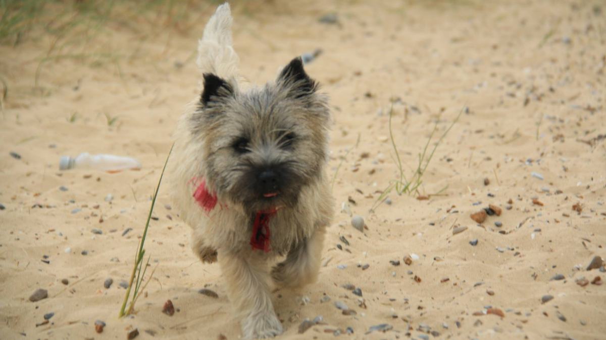 Norfolk Coast Path-slide-3 Norfolk Coast Path