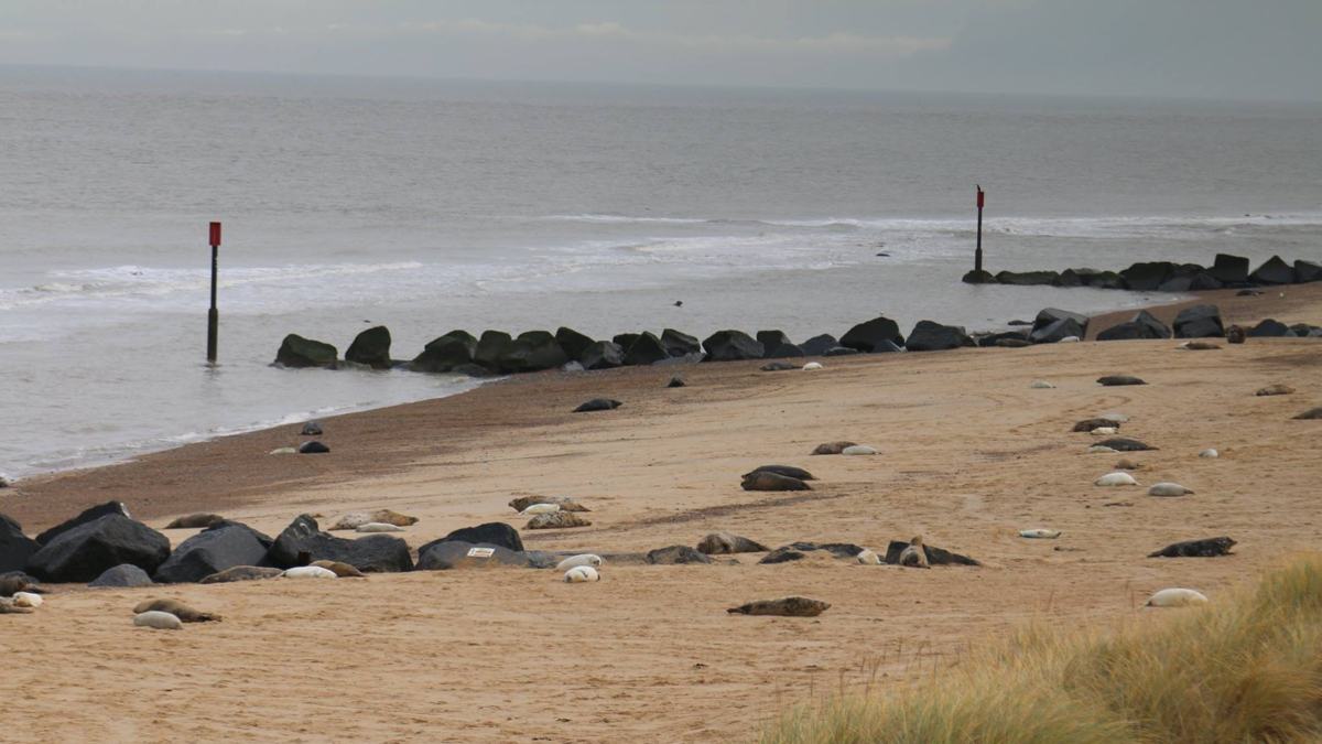 Norfolk Coast Path-slide-5 Norfolk Coast Path