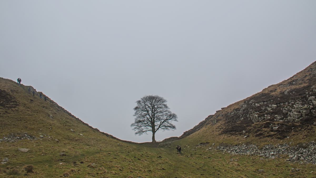 Sycamore Gap