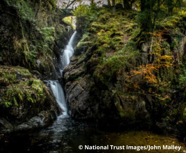 Aira Force
