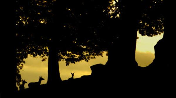 Bradgate Park-slide Bradgate Park