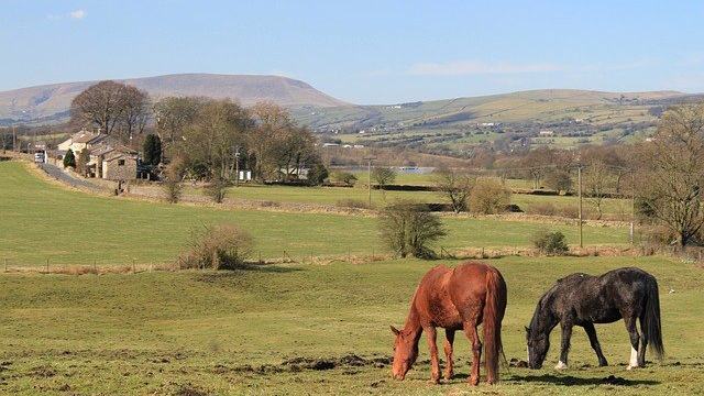 Pendle Hill