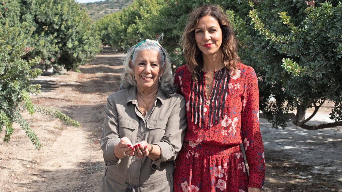 greece-Chios-pic-2 The island of Chios