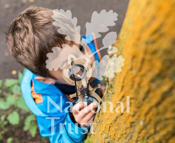 National Trust launches ambitious plans