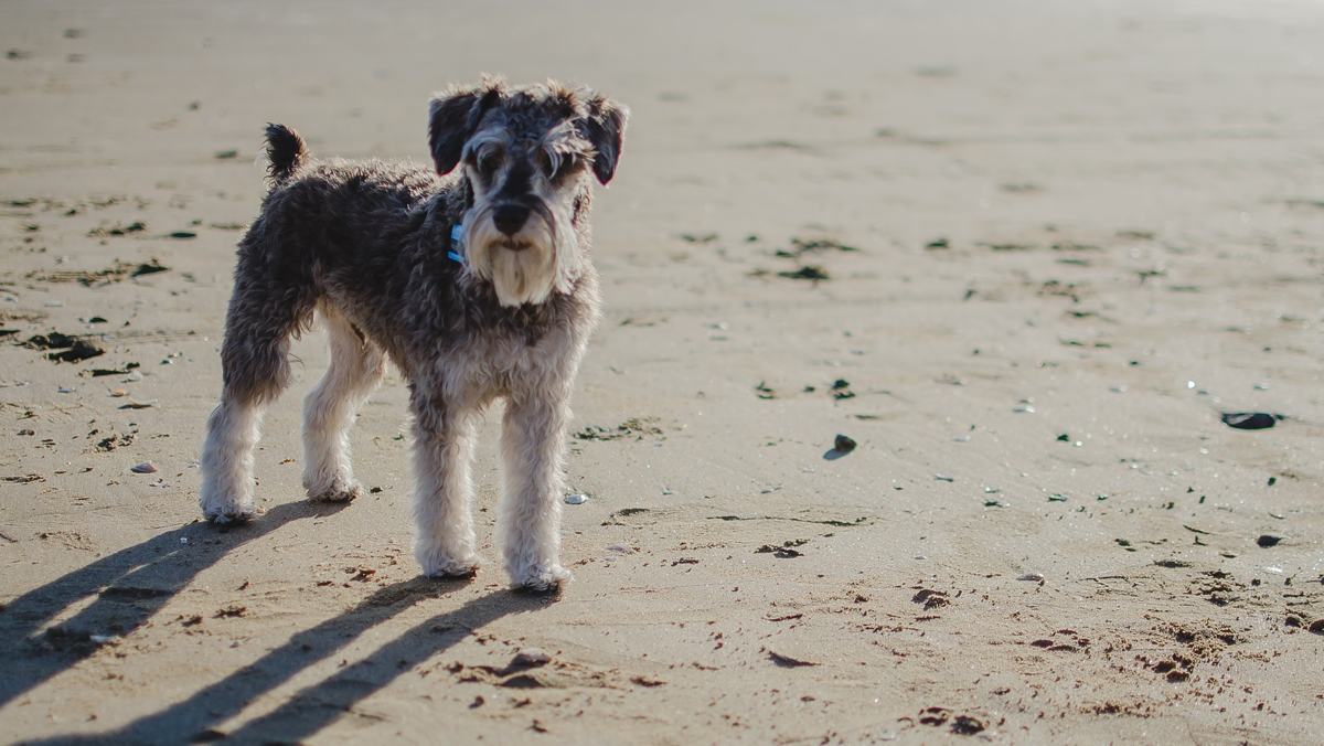 ClarissaBell from Pixabay-slide-2 © ClarissaBell from Pixabay