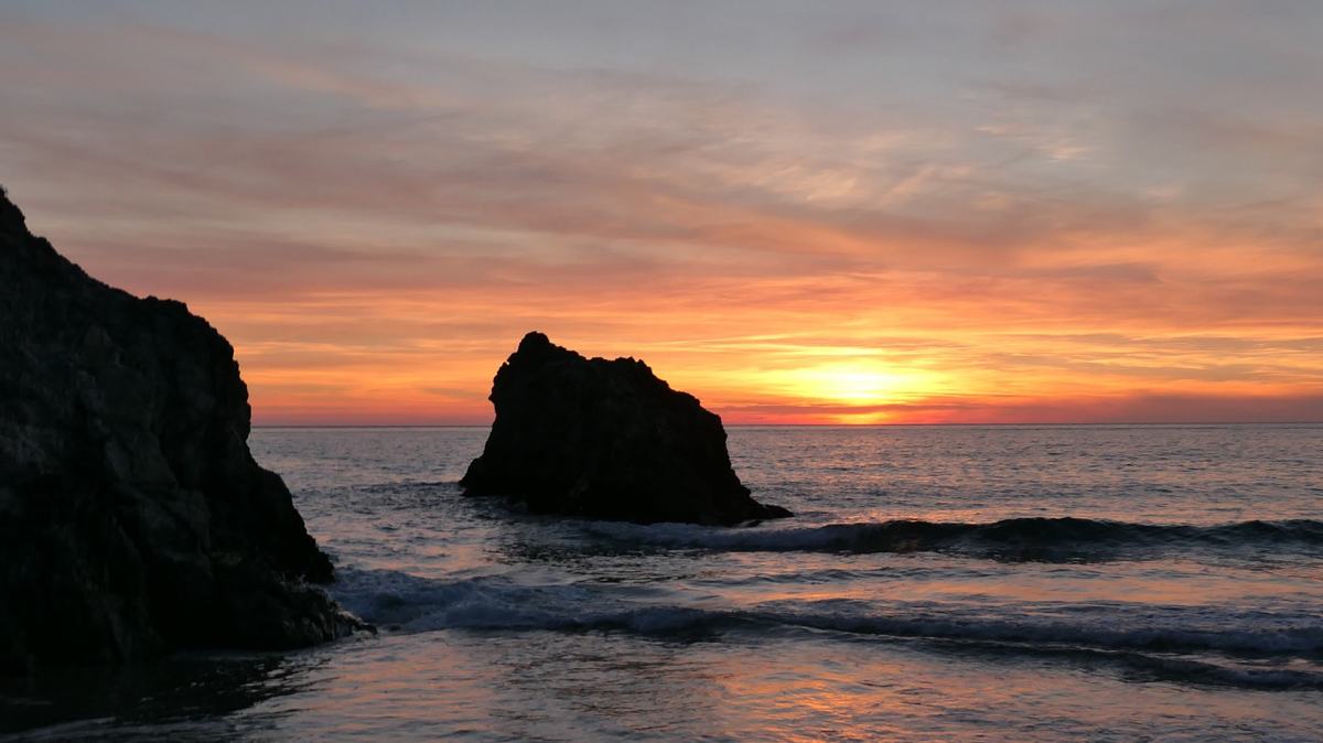 CleanerShrimp from Pixabay-slide © CleanerShrimp from Pixabay