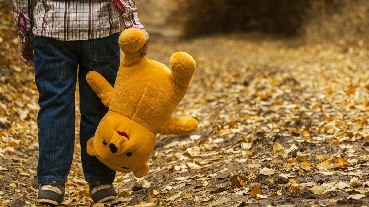 Madalin Calita from Pixabay-slide © Madalin Calita from Pixabay