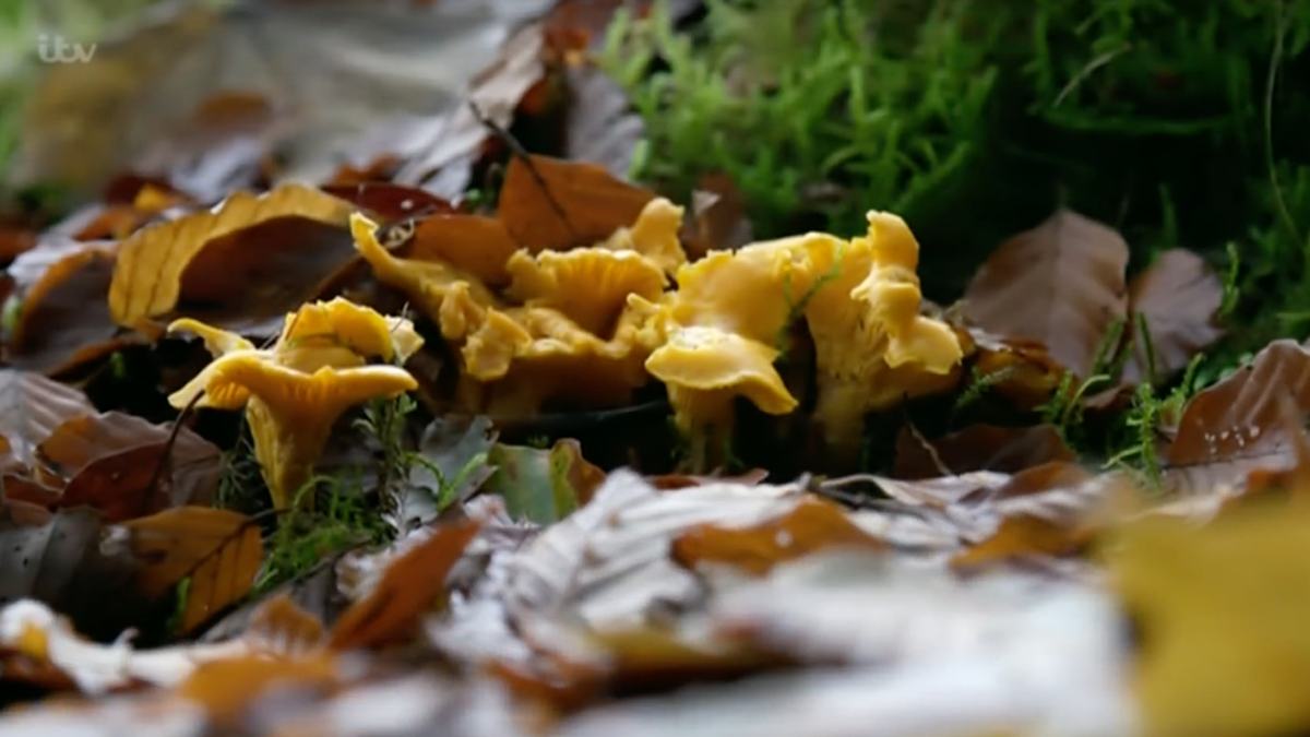 itv-number 67-slide Forest of Bowland walk