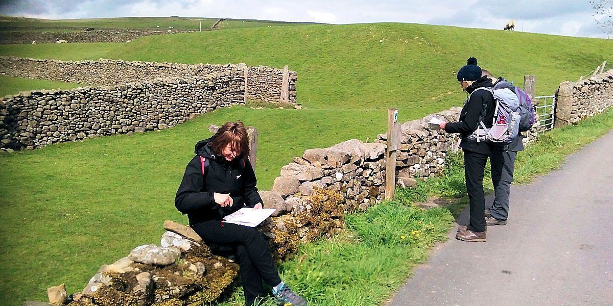 Learn a Skill & Climb a Hill