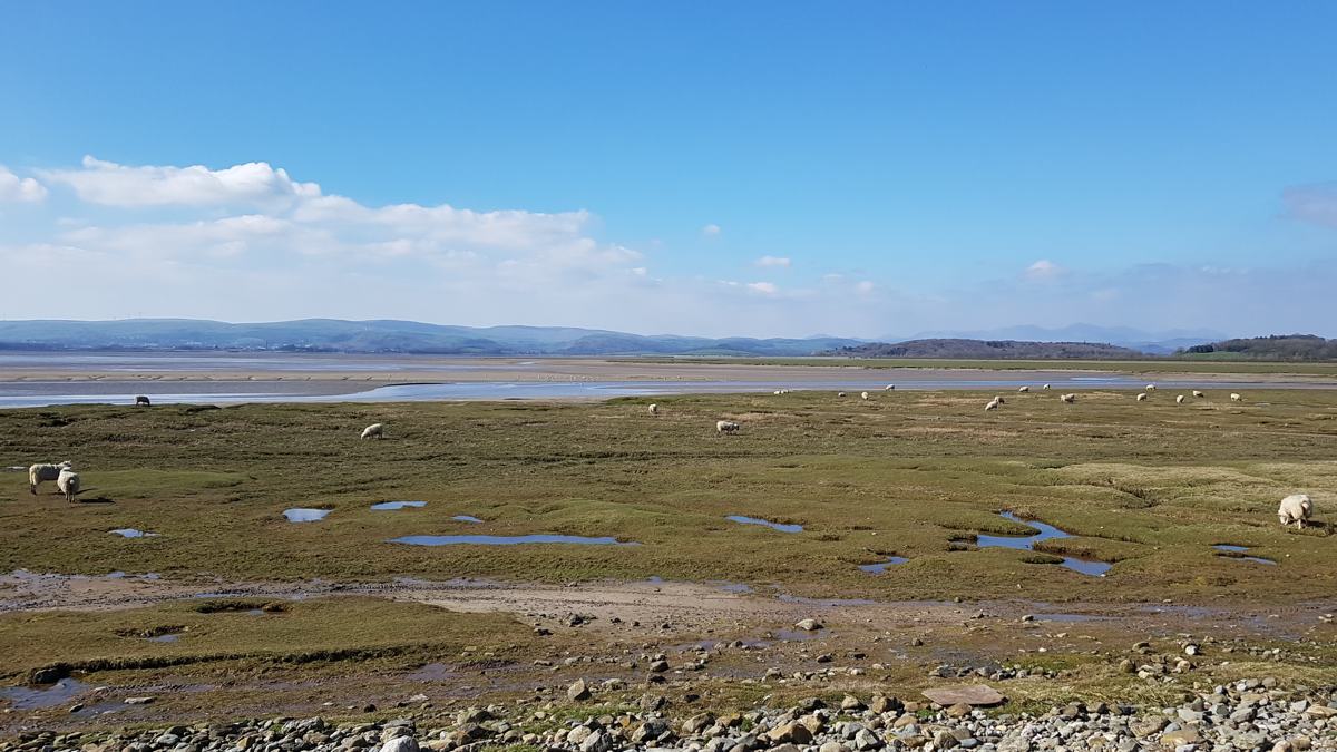 Cark Coastal Walk-slide-4 Cark Coastal Walk