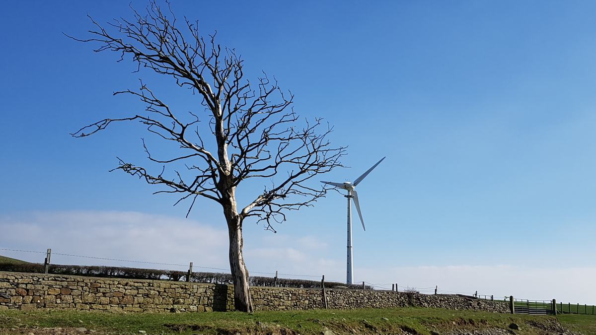 Cark Coastal Walk-slide-5 Cark Coastal Walk