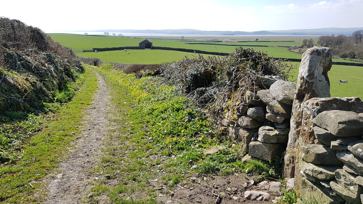 Cark Coastal Walk-slide-7 Cark Coastal Walk