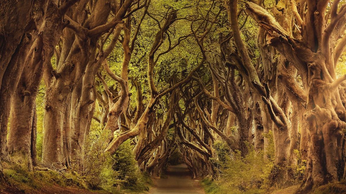 Coronavirus outbreak-slide-1 Walking during the Coronavirus outbreak