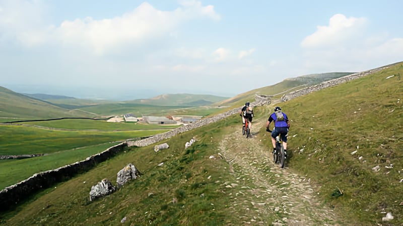 Settle loop-slide-2 Settle loop