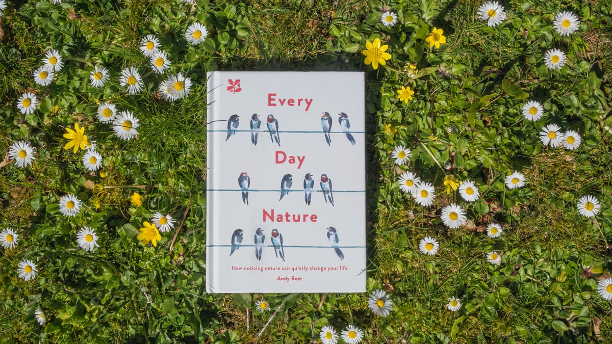 Nature is all around us-slide-1 Nature is all around us