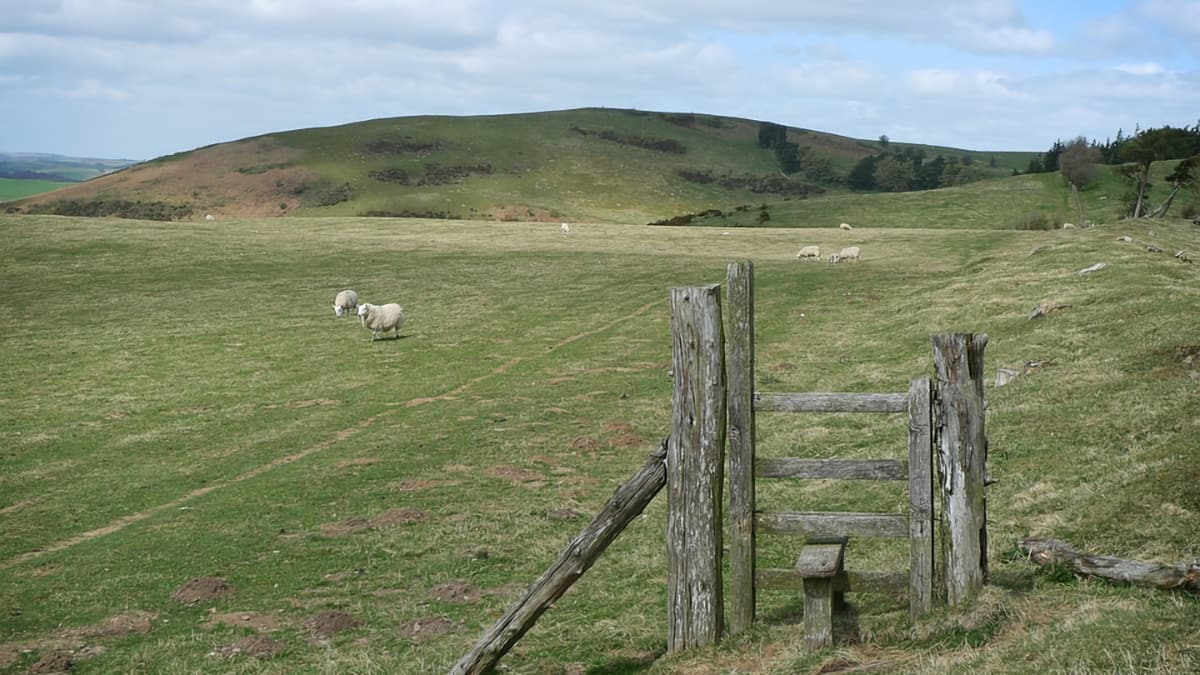 Walking with TOG and OS Maps-PIC 3. REDUNDANT STILE-rz Walking with TOG and OS Maps