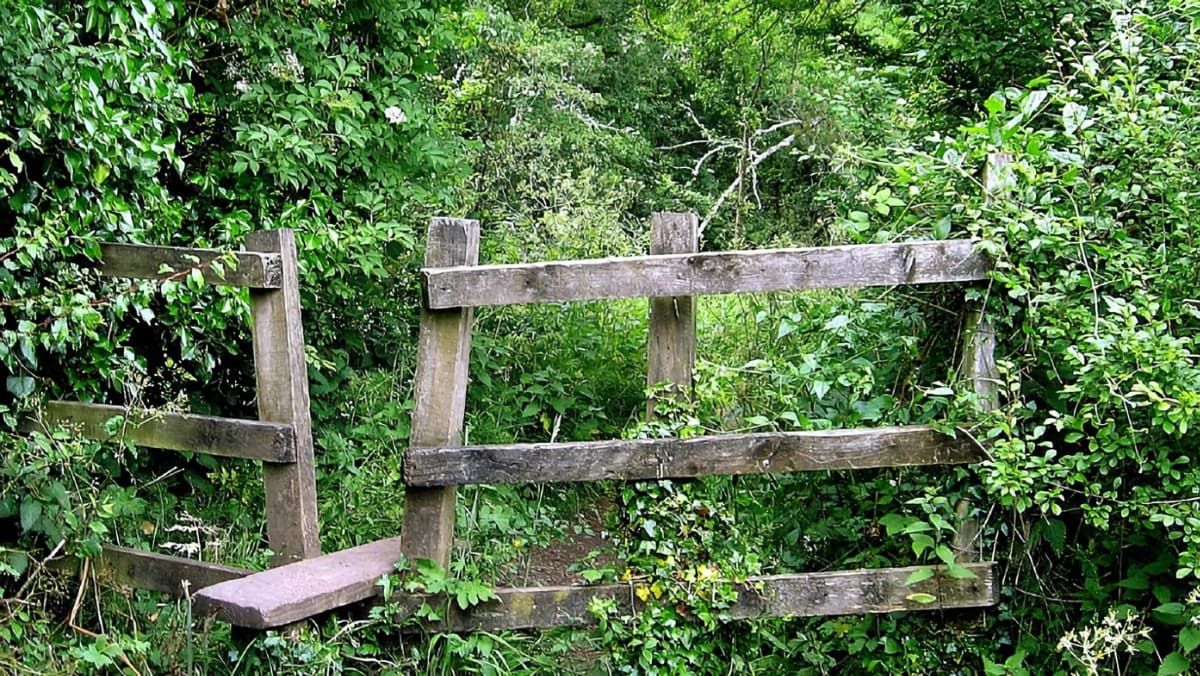 Walking with TOG and OS Maps-PIC 6. NARROW STILE-rz Walking with TOG and OS Maps