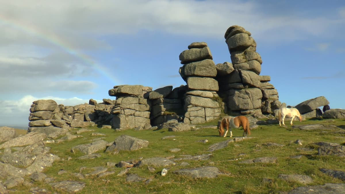 Staple Tor