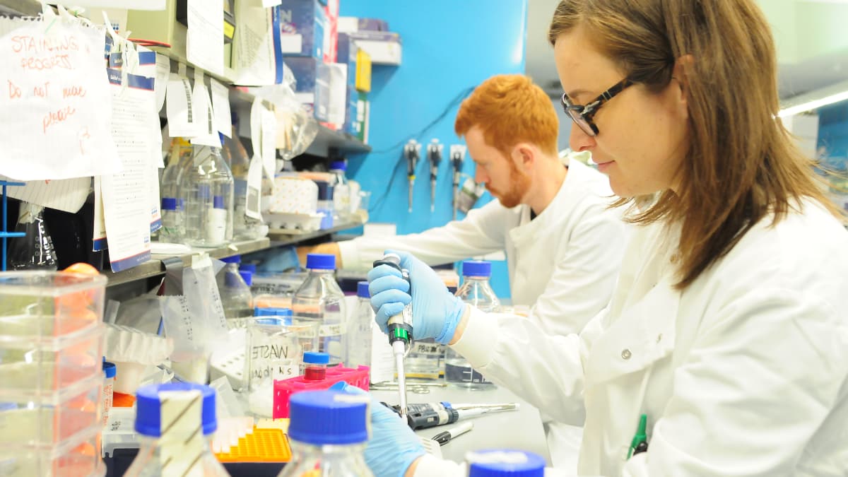 Brain Tumour Research