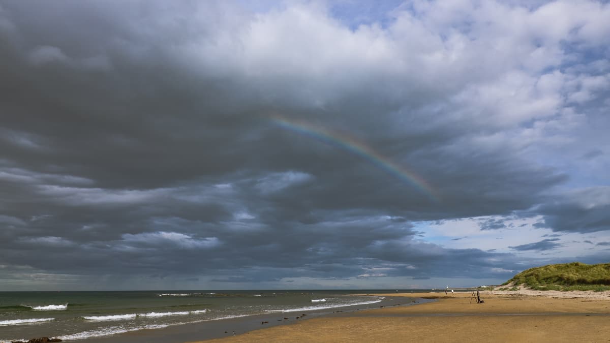 Exploring Lindisfarne Holly 2 Exploring Lindisfarne