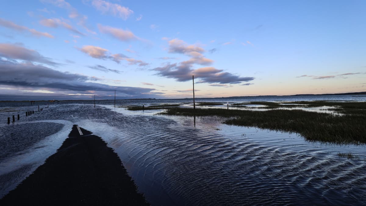 Exploring Lindisfarne Holly 3 Exploring Lindisfarne