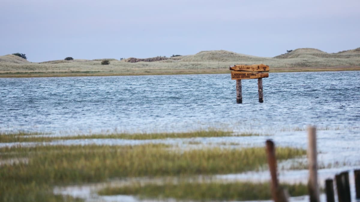 Exploring Lindisfarne Holly4 Exploring Lindisfarne