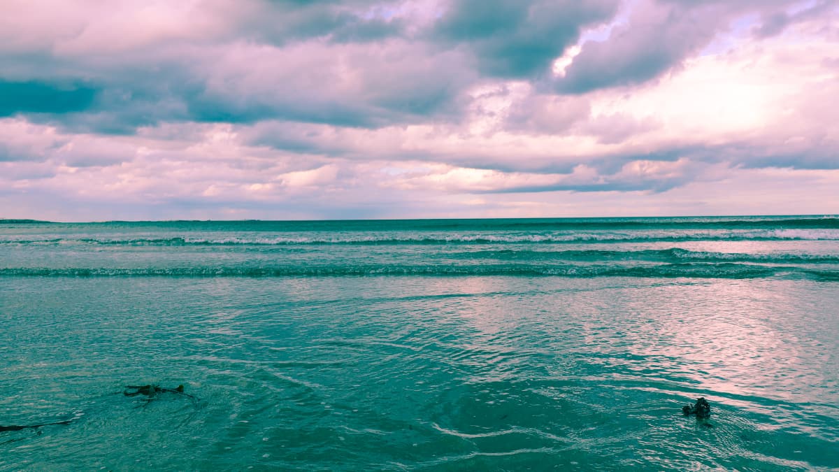 Seahouses to Bamburgh Castle