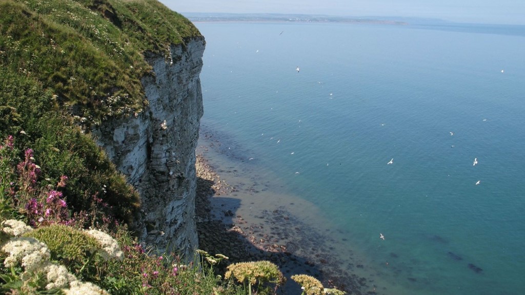 bempton-cliffs--summer--looking-north-from-bempton-cliffs Bempton Cliffs