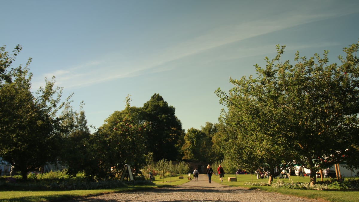 George Clarke Gibside Slide 5 Gibside