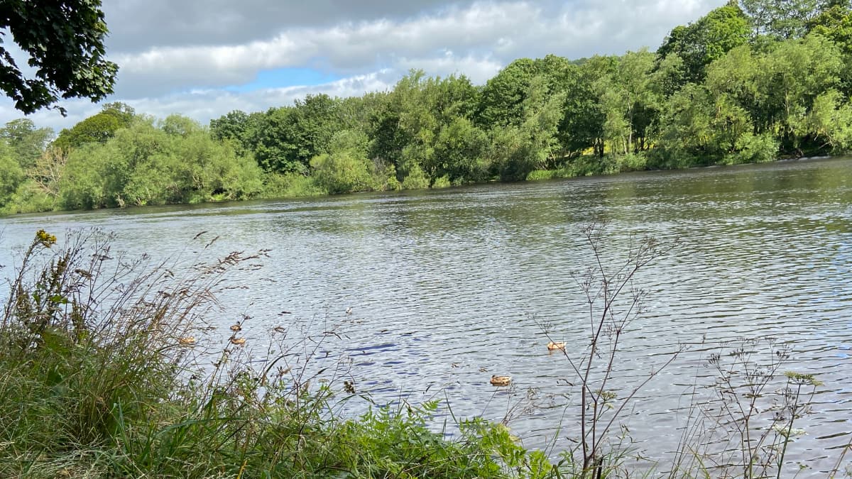 River Tyne, Hexham