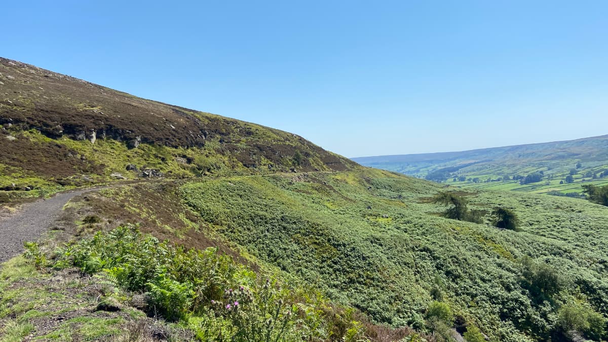 Rosedale Railway Walk