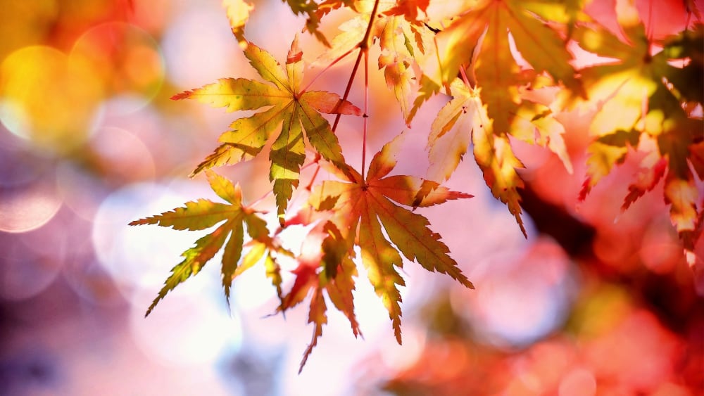 Why Wellies Are Our Best Footwear Friends