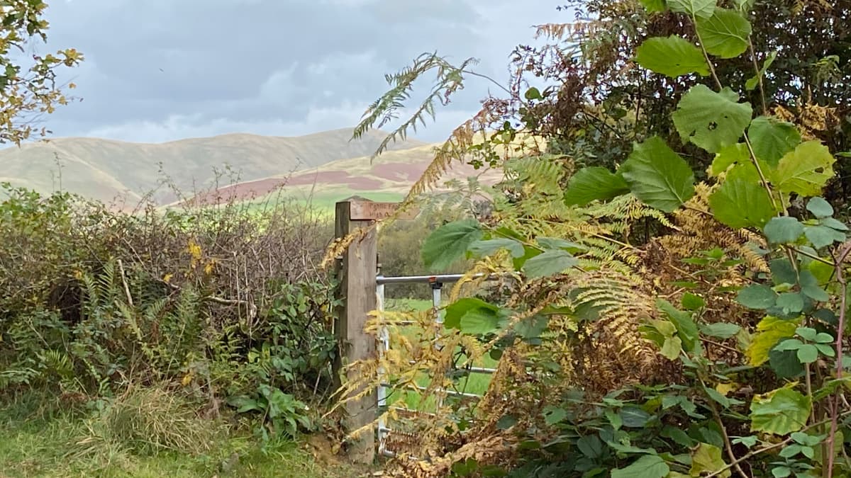 Killington New Bridge