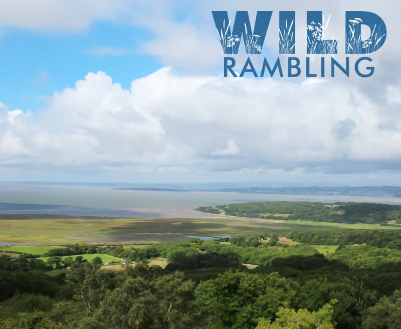 Arnside and Silverdale