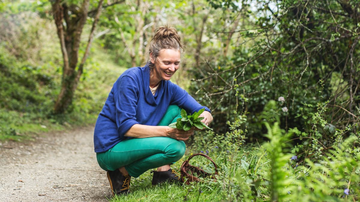 Edible Landscape slide 3 Edible Landscape