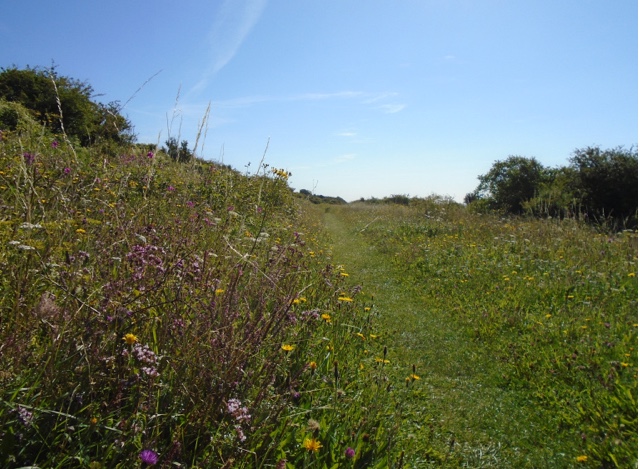 This next photo is again on the South Downs Way as you climb towards Old Winchester hill, for me it shows the contrasts of a view, the dappled sunlight from the overhanging trees can be compared with the cloudless sky, your eyesight is drawn from the complicated criss-cross patterns of the shade to the never ending canvas of blue above you. These far reaching views literally widen your horizons. The more I’ve thought about the outdoors there’s one aspect that I hadn’t initially considered, the silence. At home or in town there are constant noises but out there you can be surrounded by silence. Saying that, the outdoors is always talking to you, the sheep, the wind, and even a tractor in the distance, however, whether you are running or walking the sound of the silence can actually take some getting used to. Silence is peaceful, it lowers your blood pressure, it relaxes you, it’s like when you’re in the company of good friends and there are moments when nobody speaks but this is a comfortable silence. I guess I’m almost processing my surroundings while at the same time I’m not thinking about anything at all, just breathing it in. People often ask me do I listen to music when I’m on a long run and I reply that there’s no need. Listening to the outdoors is definitely part of the enjoyment, it’s almost like the more you listen the more you take in. Many outdoor spaces have remained untouched for years whether that’s a park in the middle of town or the wild countryside. The phrase silence is golden certainly applies because you are feeding off the beauty that stretches out in every direction.