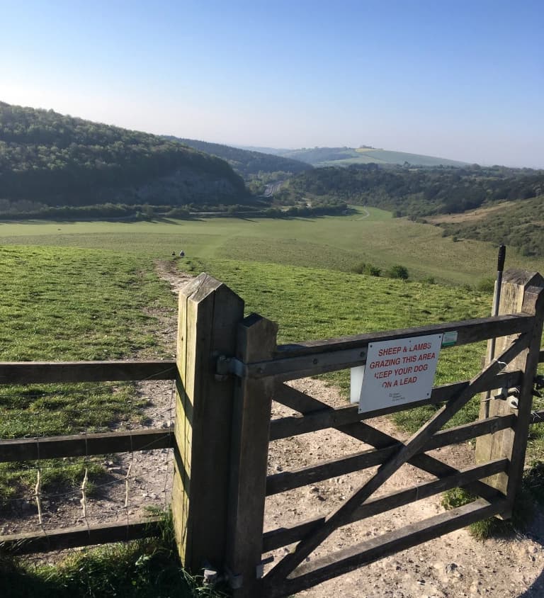 What It Is About Being Outdoors