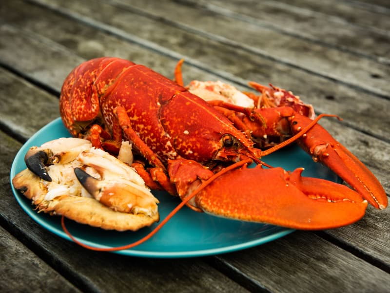 Norfolk Coast Path Sand Sea Sky Pic 1 Norfolk Coast Path Sand Sea Sky