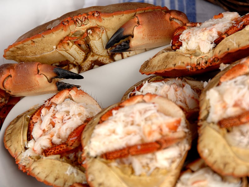 Norfolk Coast Path Unexpected High Pic 6 Norfolk Coast Path Unexpected High