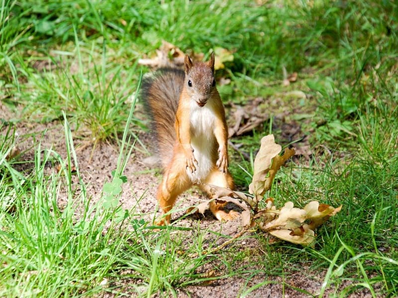 Pennine Way Roof of England Pic 4