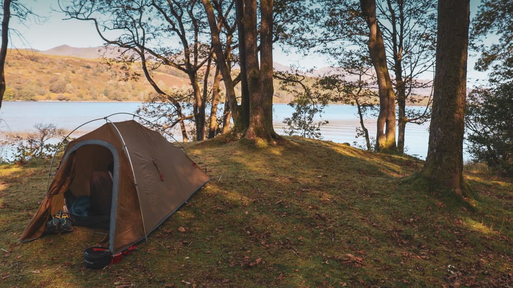 Favourite Pastime Pic2 Favourite Pastime