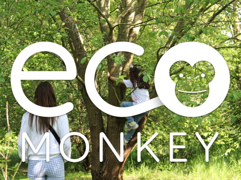 The Eco Monkey