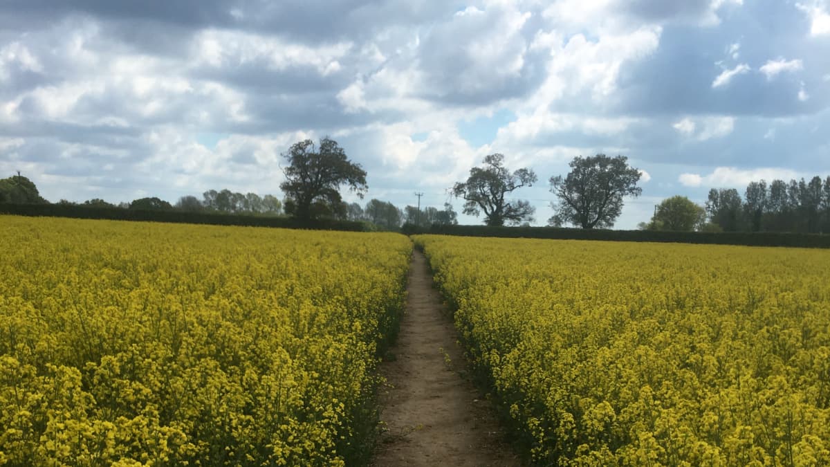 Banningham Crown Inn