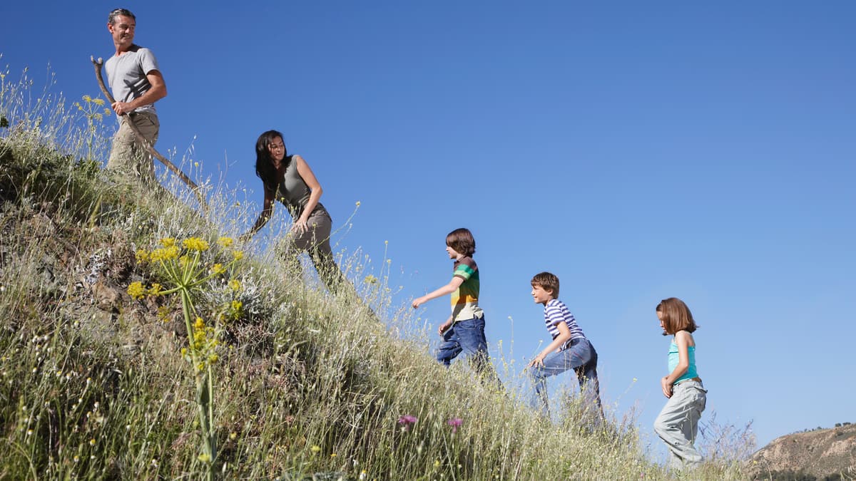 Insect Bites Pic 2 Keeping Insects Away on Your Hike