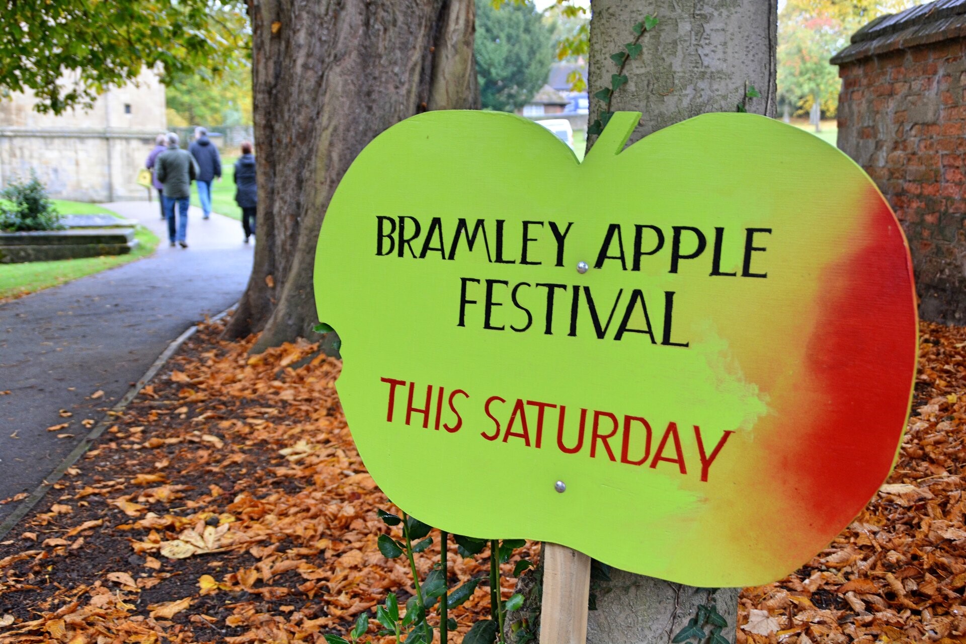 tog southwell comp.jpg